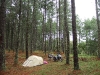 Camping im Wald