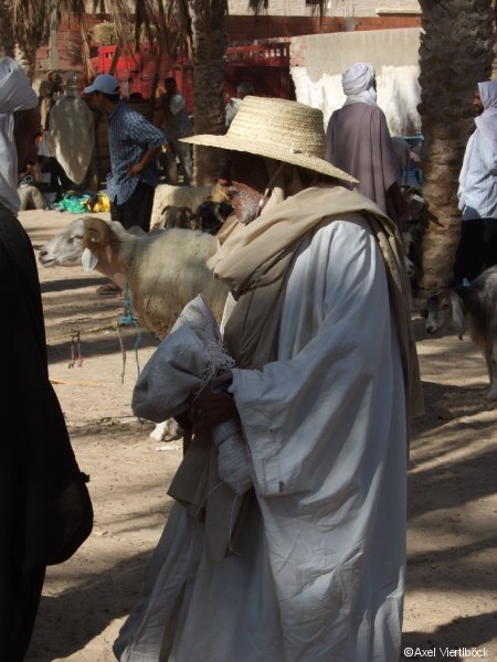 Händler am Viehmarkt in Tunesien