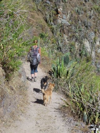 colca-canyon