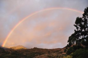 Regenbogen