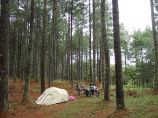 Camping im Wald