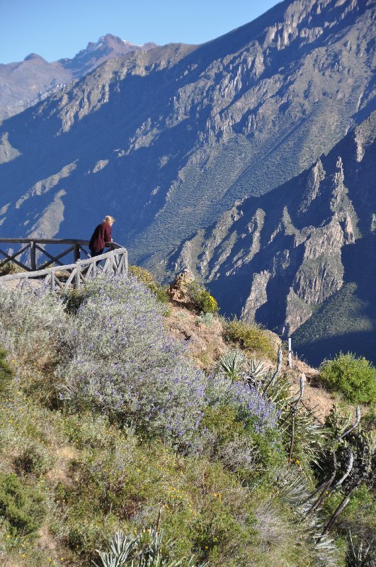 MIrador del Cura im Colca Canyon