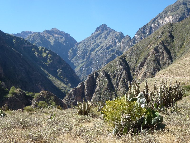 colca-canyon