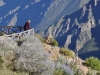 MIrador del Cura im Colca Canyon