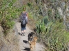 colca-canyon