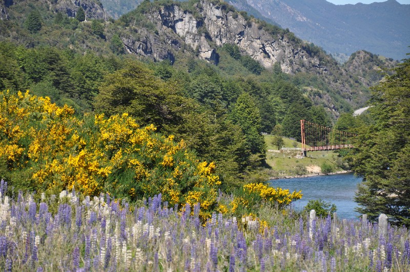 carretera-austral-14