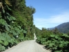 carretera-austral-44