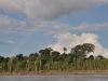 Regenbogen über Dschungel