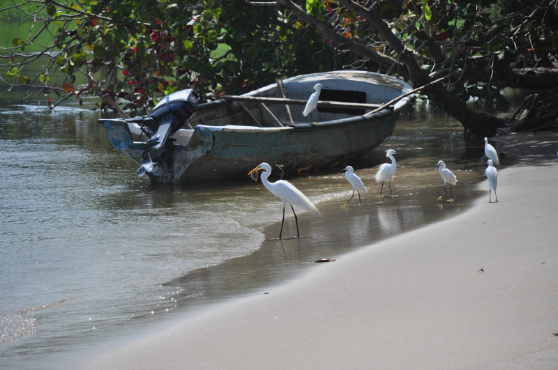 Fischerboot