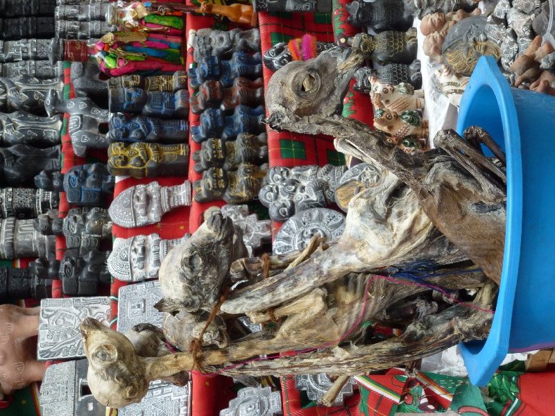 Lama Föten in La Paz am Hexenmarkt