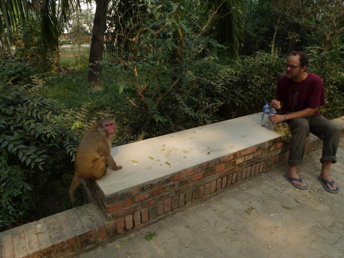 lumbini-15