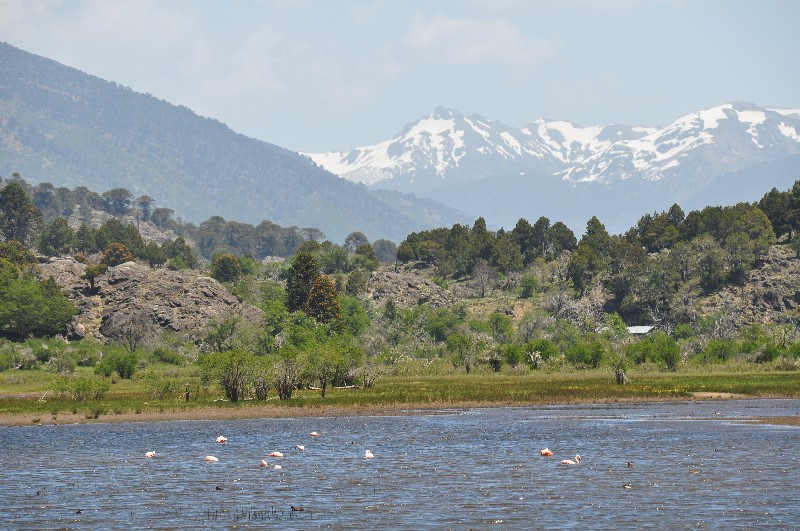 Lago Pulmari