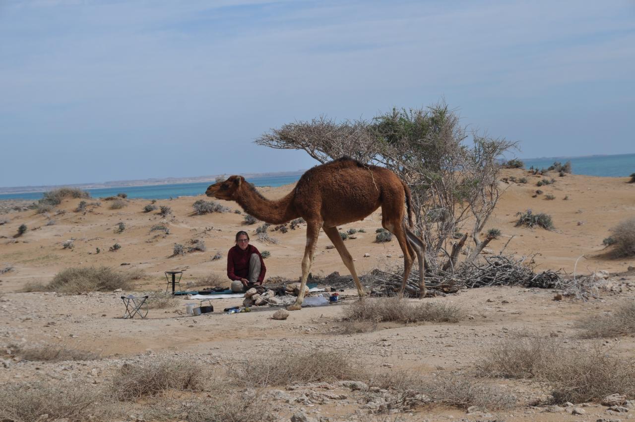 qeshm-09