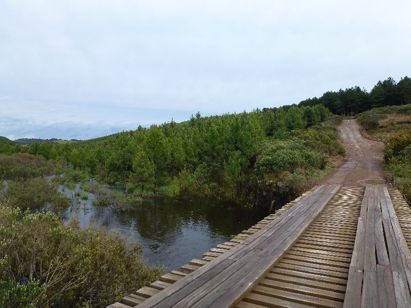 typische Holzbrücke