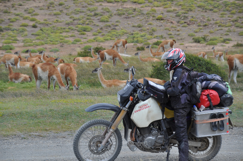 Motorrad vor Guanakos