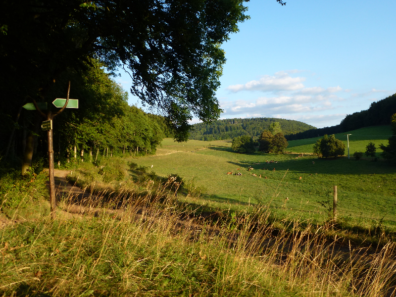 Thüringer Wald